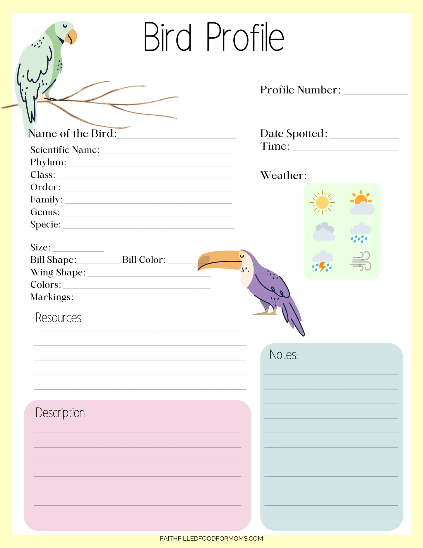 Bird-Watching Journal